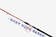 选择合适的线材，提升路亚直柄钓鱼技巧（选择正确的线材，让钓鱼更加轻松愉快）