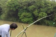竹子路亚杆钓鱼，打造独特的钓鱼体验（传承古老技艺，挥洒自然魅力）