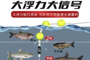 钓鱼饵太轻怎么调漂？（解决路亚钓鱼饵太轻导致的漂浮问题的实用方法）